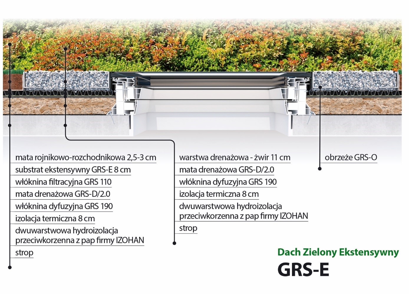 okna dachowe, okna dachowe FAKRO, okna dachowe do dachów płaskich, zielony dach z oknami fakro